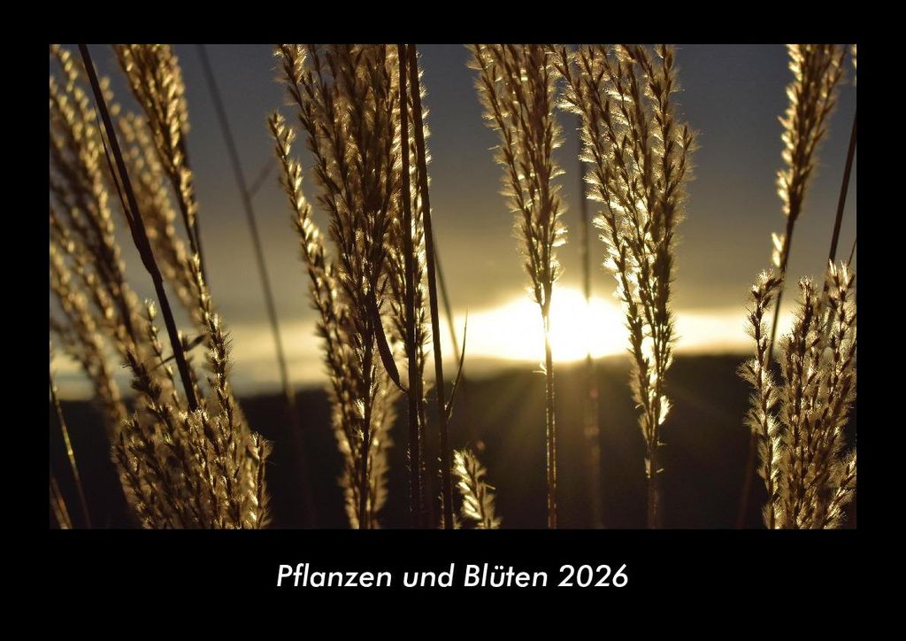 Pflanzen und Blüten 2026 Fotokalender - Querformat DIN A3, Monatskalender mit Bild-Motiven aus Fauna und Flora, Natur, Blumen und Pflanzen