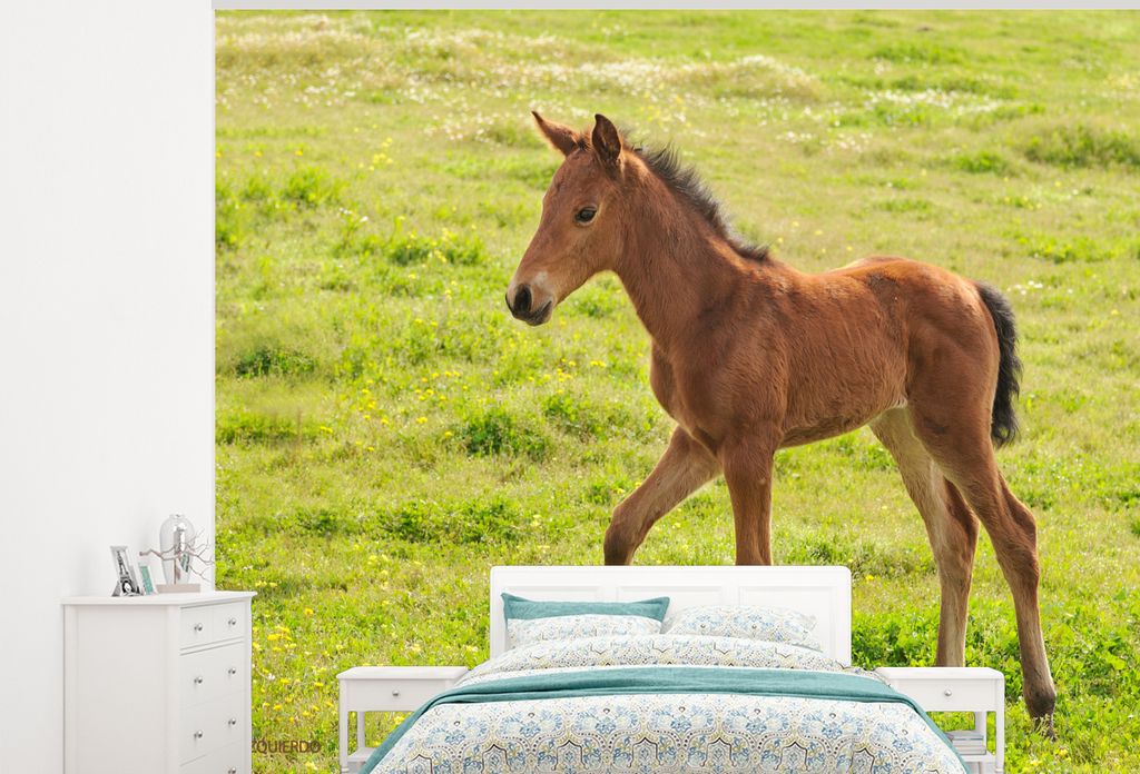 MuchoWow Fototapete für Wohnzimmer oder Schlafzimmer Wandtapete Vinyl Motivtapete Ein gehendes Pferd auf einer Wiese - 375x300 cm - Tapezierpapier