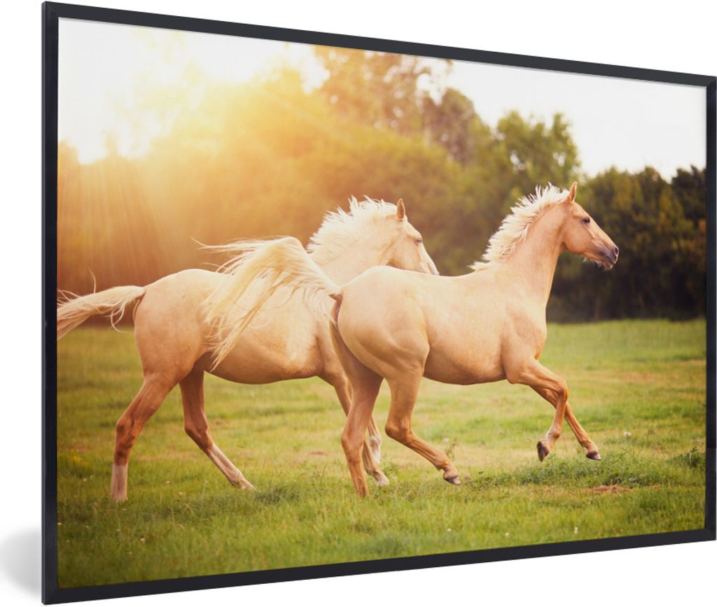 MuchoWow Gerahmtes Poster Pferde - Gras - Sonne 30x20 cm - Poster mit Schwarzem Bilderrahmen Wandposter Rahmen Foto Bilder - Kunstdruck - Bild-Po...