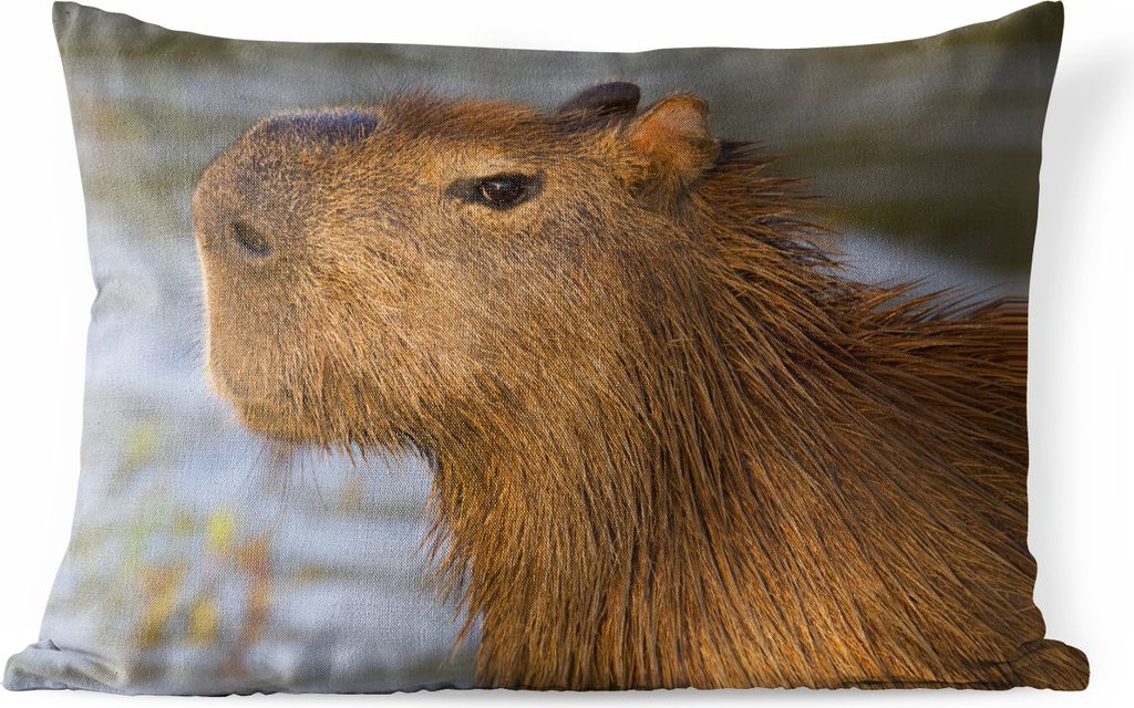 MuchoWow Outdoor Kissen - Eine Nahaufnahme des Kopfes eines Capybaras - 60x40 cm - Wetterfest - Lounge Kissen - Zierkissen - Kissen für Innenräume