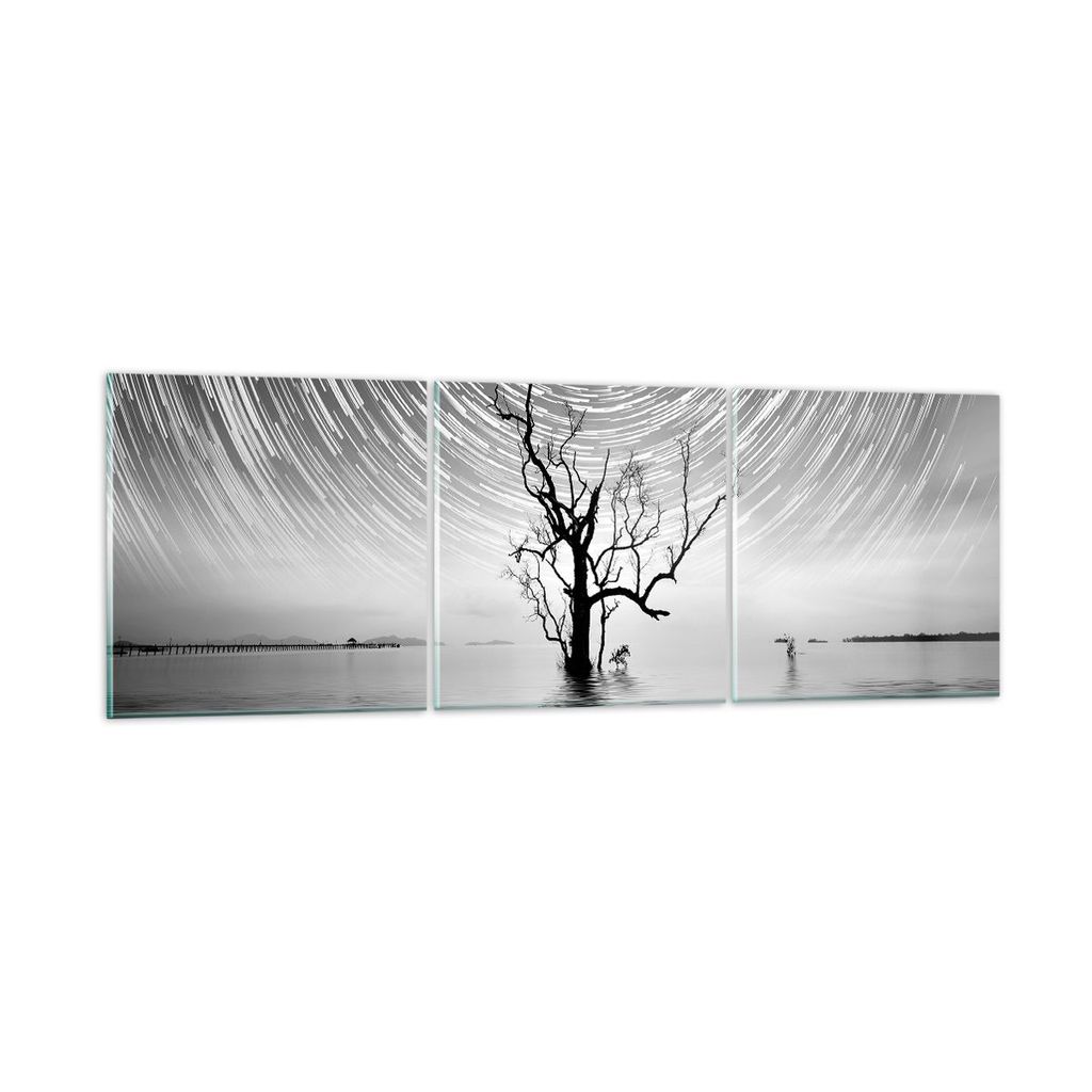 Bilder auf glas - 3 Teile - Schwarzweiß Baum See - 150x50cm - Glasbilder - Wandbilder - Bilder - zum Aufhängen bereit - Wanddekoration aus Glas -...