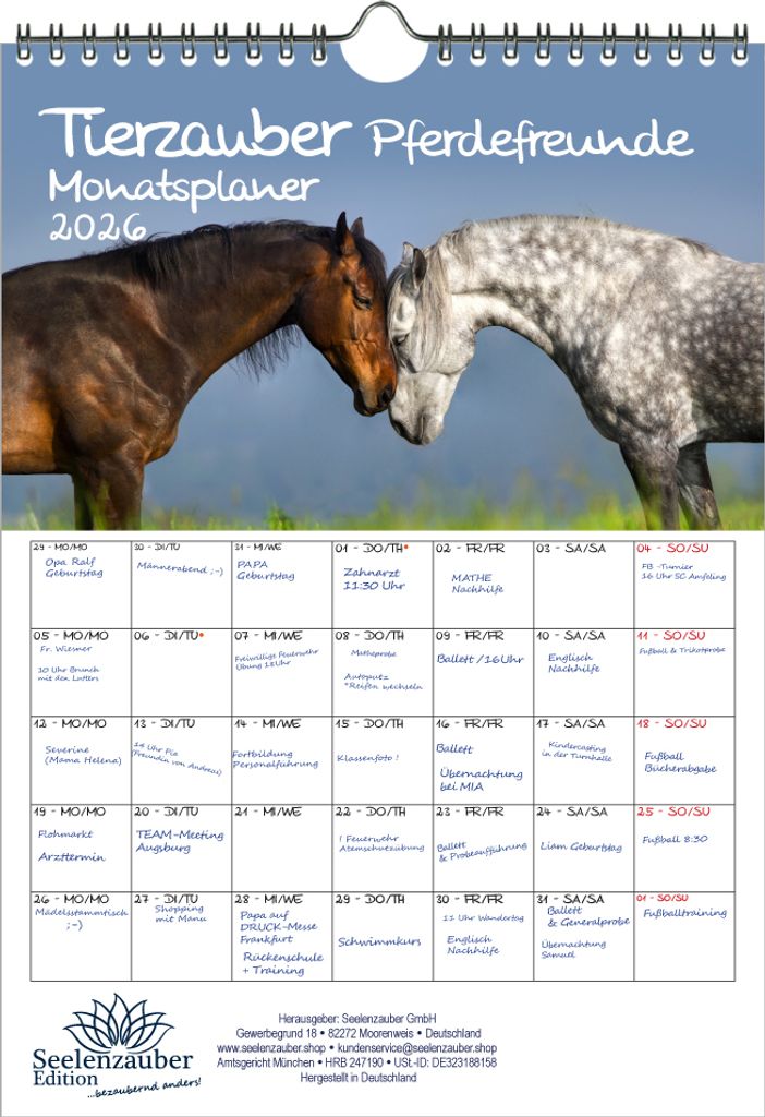 Tierzauber Pferdefreunde Planer DIN A4 Kalender für 2026 Pferde und Fohlen - Seelenzauber