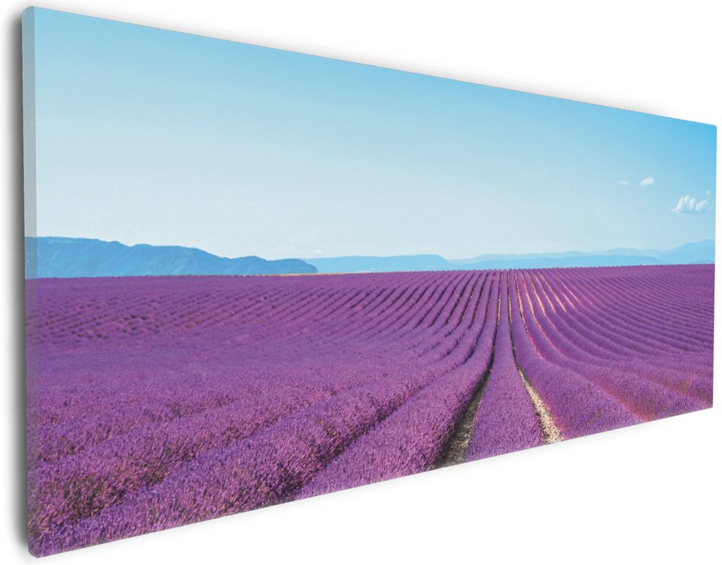 Wallario Premium Leinwandbild Lavendelfeld unter blauem Himmel in Größe 30 x 75 cm