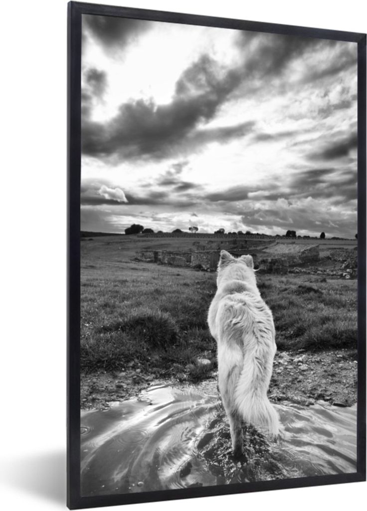 MuchoWow® MuchoWow® Gerahmtes Poster Wolf mit Blick auf die Produktbild 