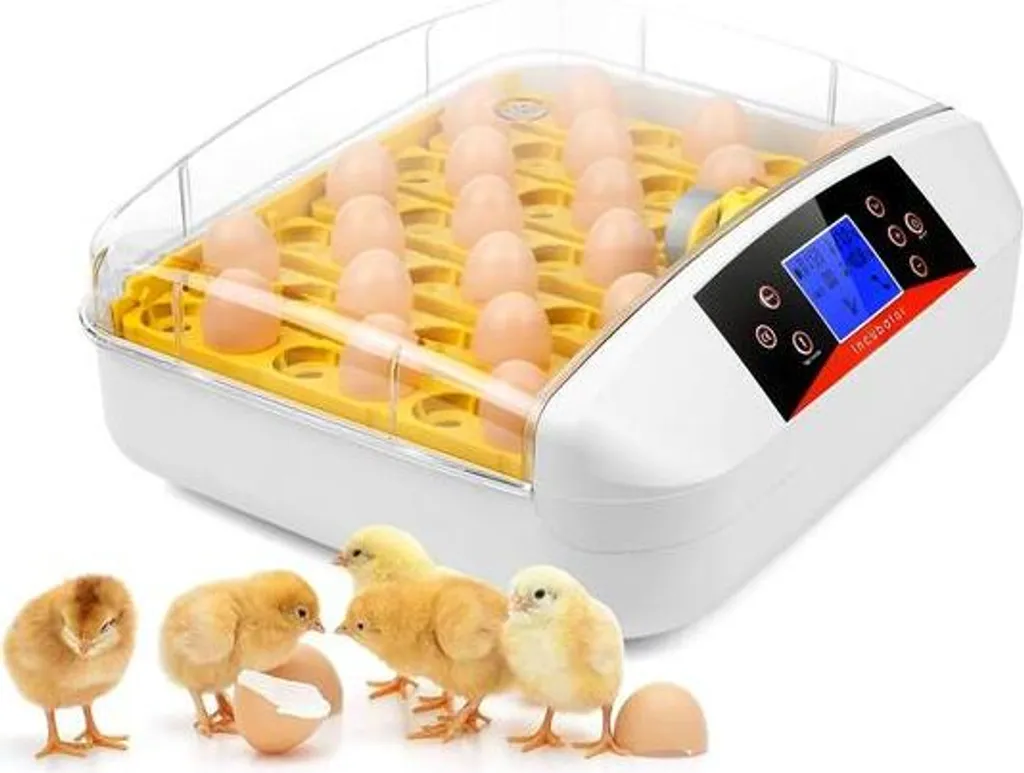 Couveuse numérique pour volailles 41 œufs incubateur automatique Pro