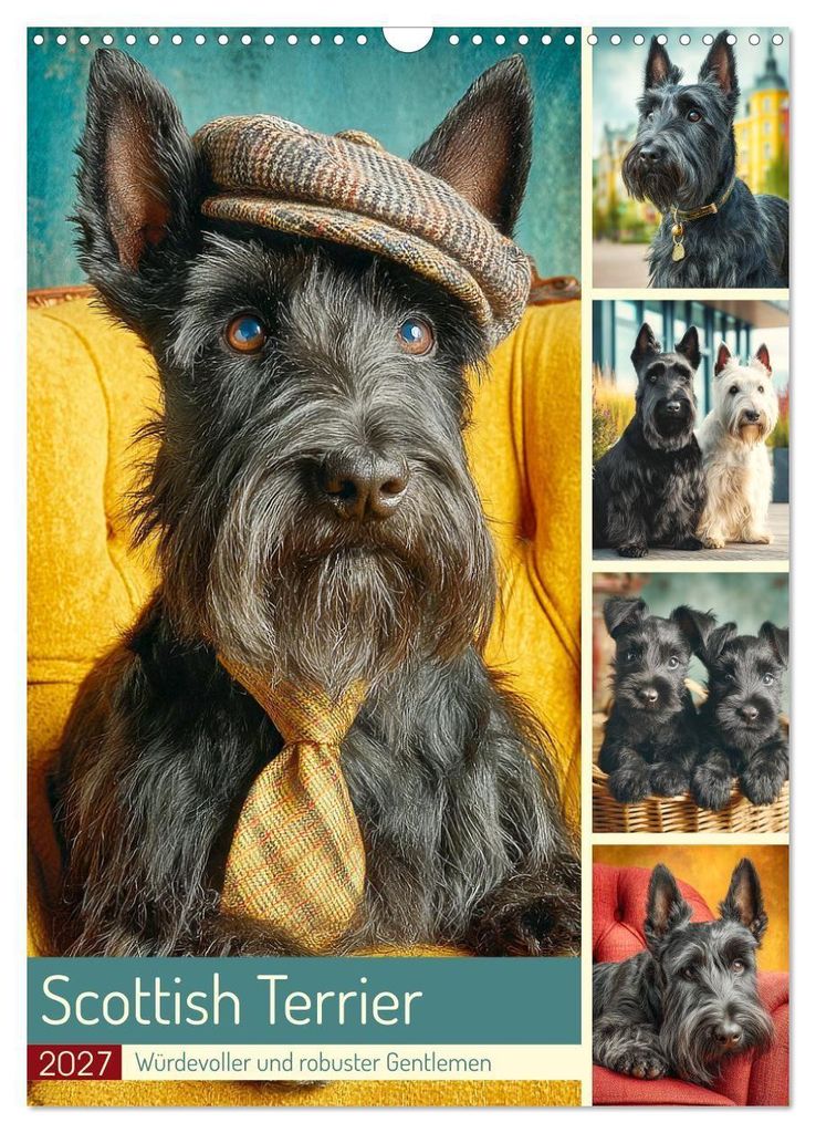 Scottish Terrier. Würdevoller und robuster Gentlemen (Wandkalender 2027 DIN A3 hoch), CALVENDO Monatskalender