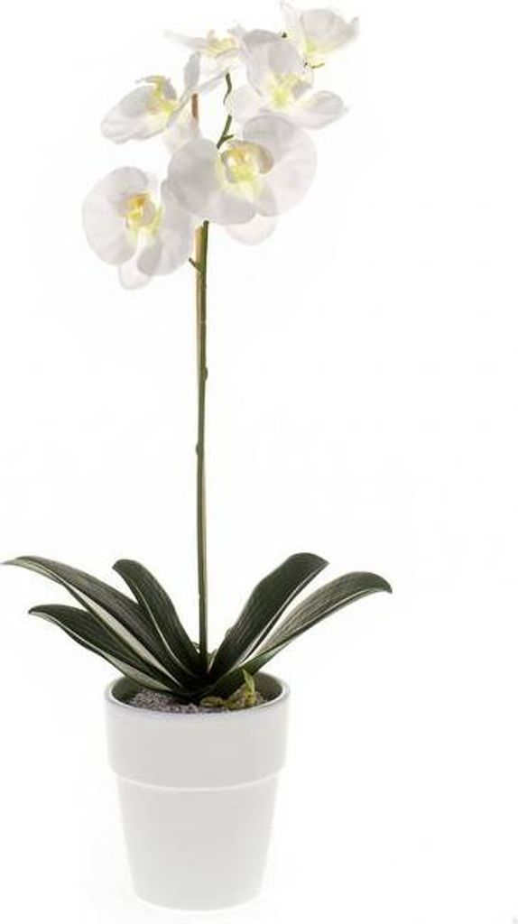 artplants.de Kunstblume Phalaenopsis Orchidee ISIS, Keramiktopf, weiß, 55cm - Kunstorchidee