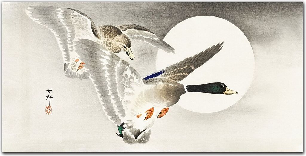 Coloray - Bild aus Glas - Glasbilder - 100 x 50 cm - Glasblock mit Bild Gehärtetes Glas Wohnzimmer Dekoration Wanddekoration Küche - Tiere Vögel...