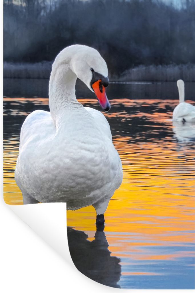 MuchoWow Wandtattoo Wandsticker Wandaufkleber Schwan - Vogel - Sonnenuntergang - Wasser 40x60 cm Selbstklebend und Repositionierbar - Wierderverw...