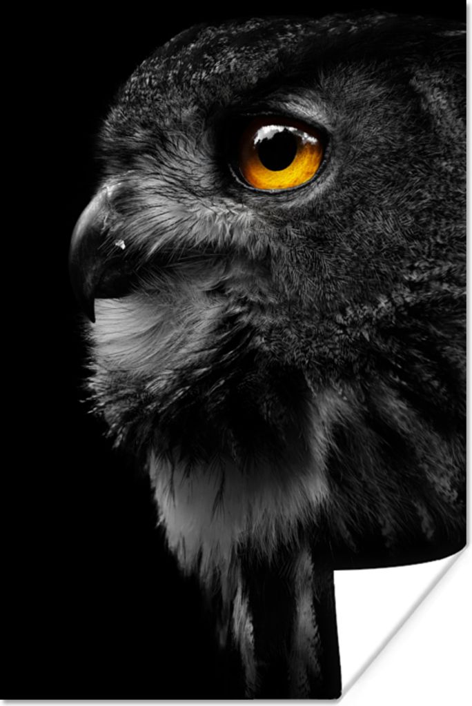 MuchoWow Poster Eule - Vogel - Schwarz - Porträt 40x60 cm - Plakate für die Wand - Poster Babyzimmer