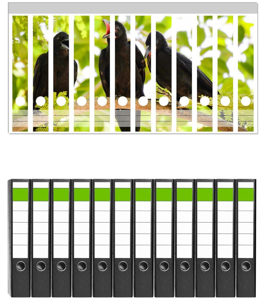 Wallario 12 Stück schmale Ordner inkl. Klebeetiketten mit Motive Krähen im Gespräch - Set mit Rückenschildern / Ordnerrücken Stickern