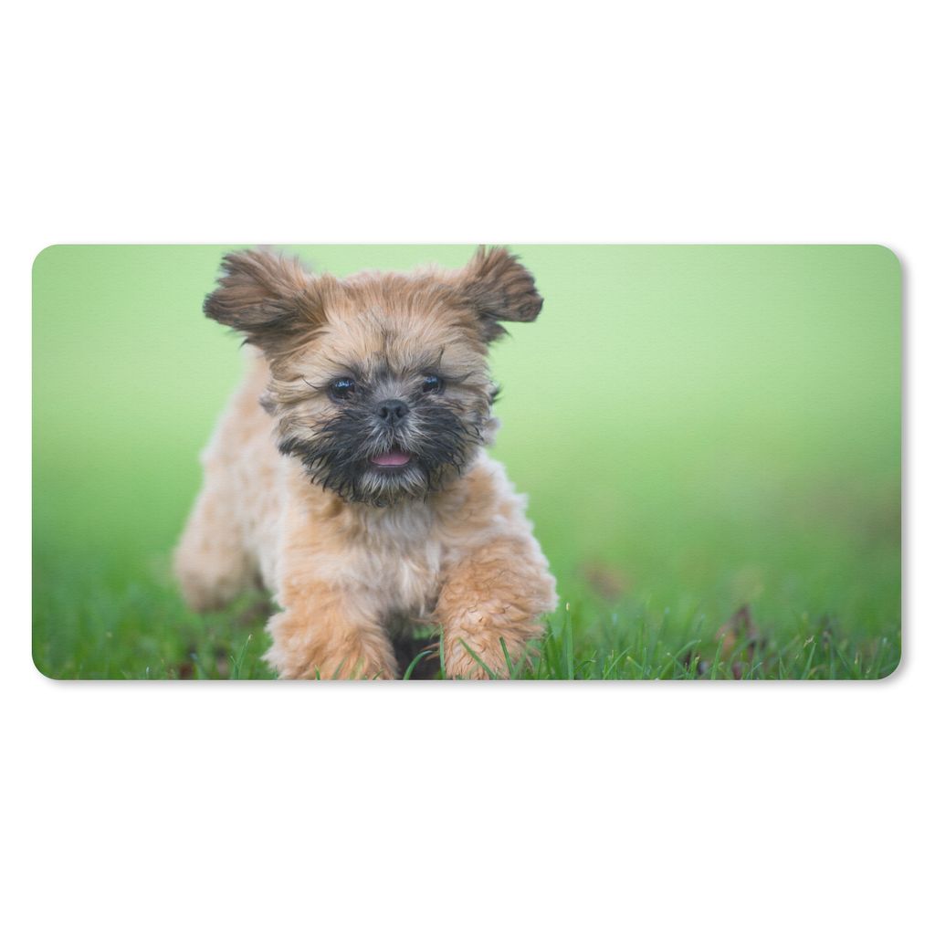 MuchoWow Mauspad Mousepad Ein niedlicher Shih Tzu Hund, der durch das Gras läuft 60x30 cm - Mousepads - Maus Mat - Pad - Mausunterlage - Nachhaltig
