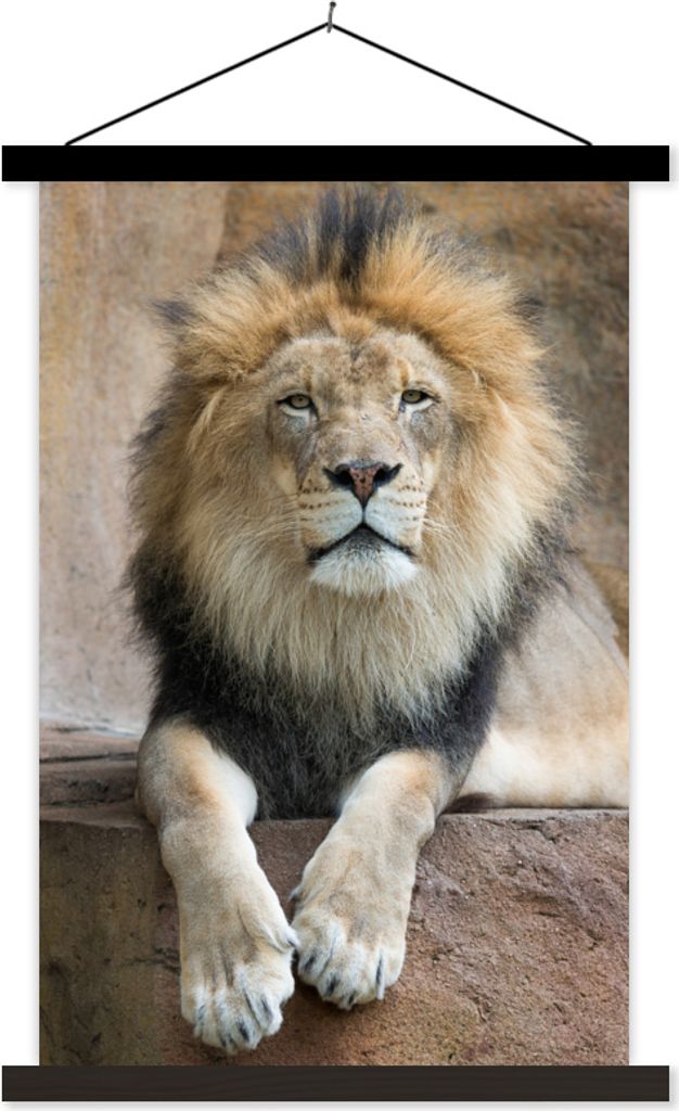 MuchoWow Textilposter Löwe - Steine - Porträt 120x180 cm mit schwarzem Rahmen - Fotos