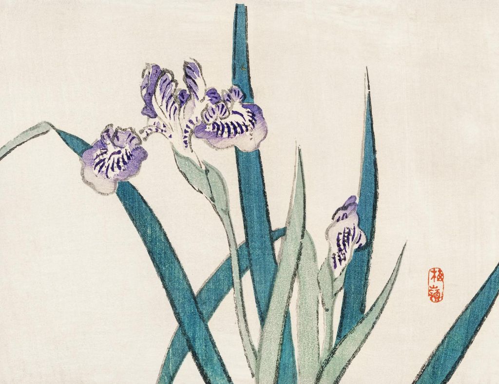 Poster 65x50cm Iris, Kōno Bairei Japanisches Vintage für das Wohnzimmer