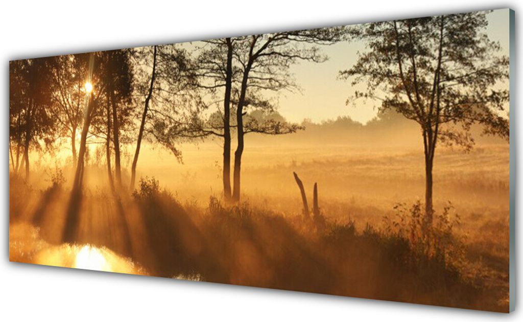 Glasbilder 125x50 Wandbild Druck auf Glas Bäume Natur