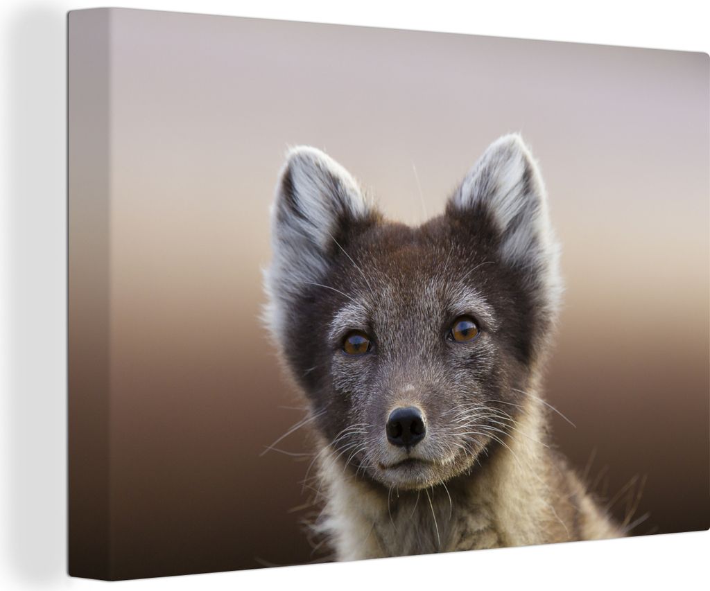 OneMillionCanvasses - Leinwandbilder - 150x100 cm, Fuchs - Porträt - Braun, Wandbilder Kunstdruck Wanddekoration