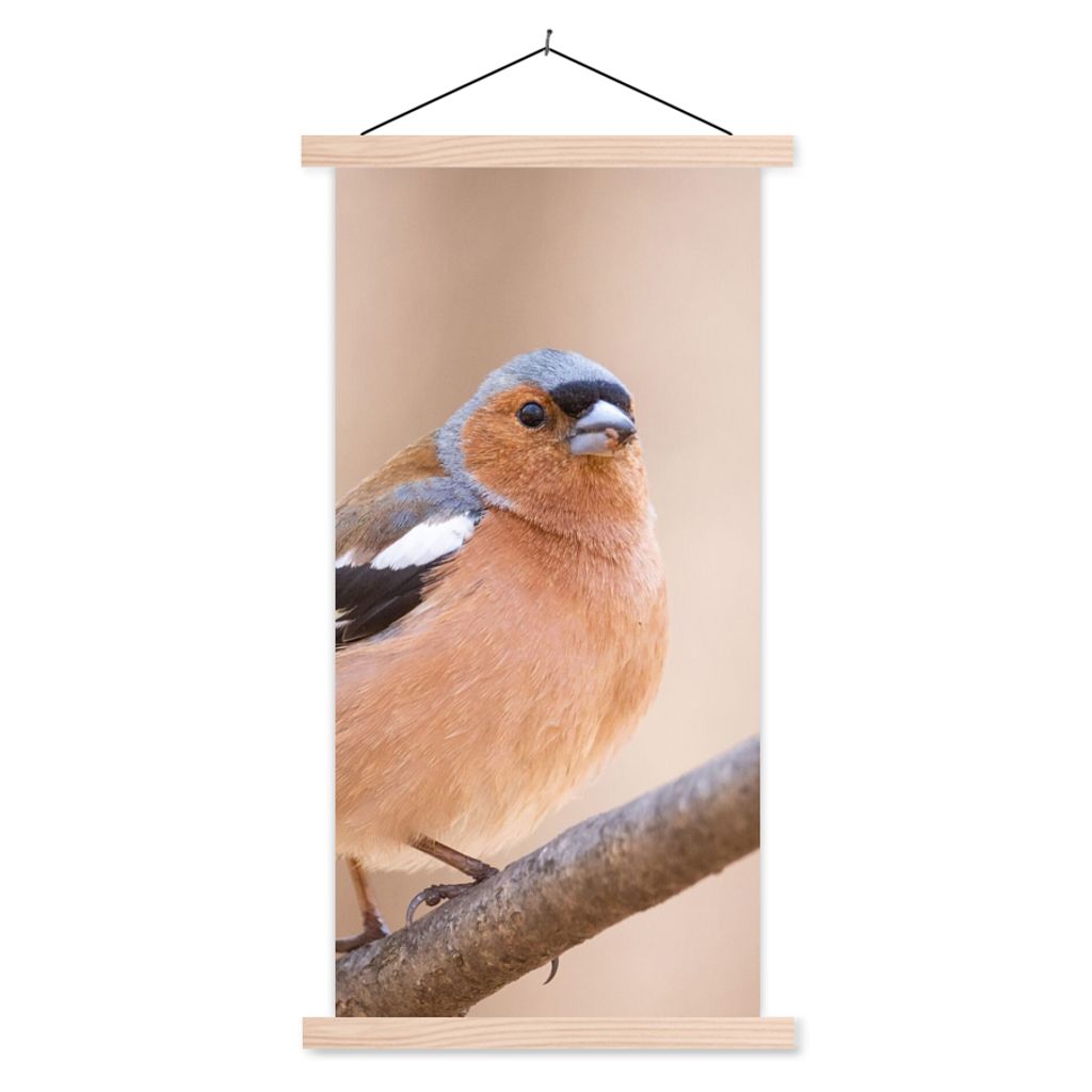 MuchoWow Textilposter Vogel - Tiere - Fink 60x120 cm mit holzfarbenen Rahmen - Holz