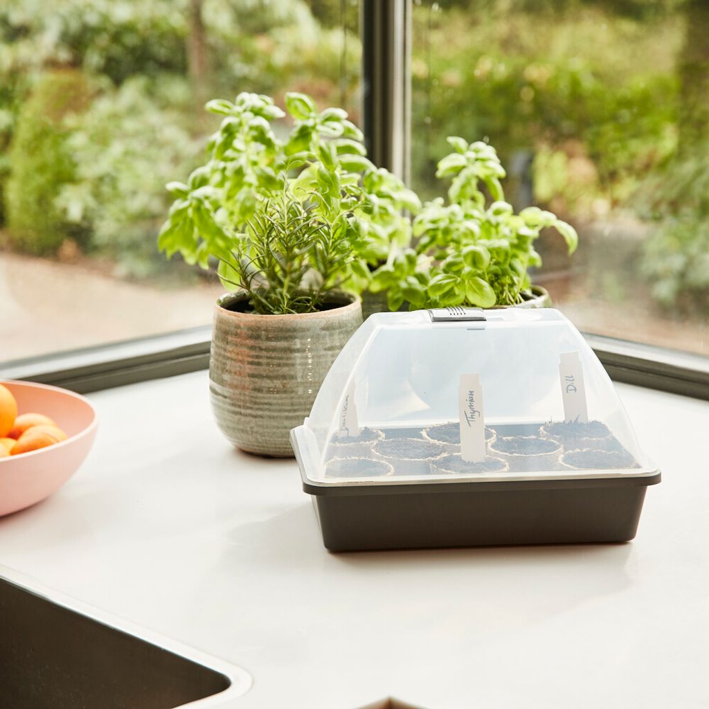 SIENA GARDEN Zimmergewächshaus Midi-Grow Produktbild 3