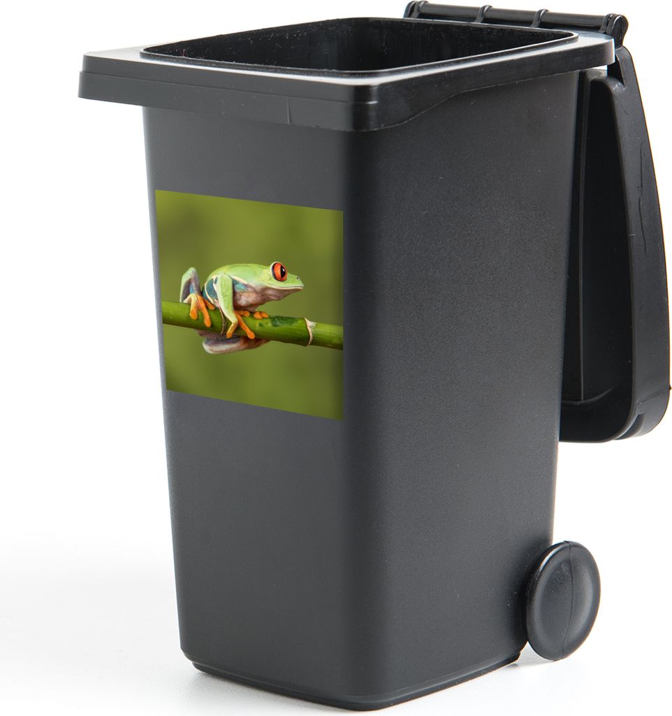 MuchoWow Mülltonnenaufkleber Rotäugiger Quecksilberfrosch auf Bambus 40x40 cm - Abfall-Aufkleber - Container - für Abfallcontainer