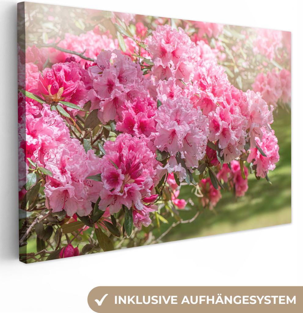 OneMillionCanvasses - Leinwandbilder - 150x100 cm, Sommerfarben der Hortensie, Wandbilder Kunstdruck Wanddekoration