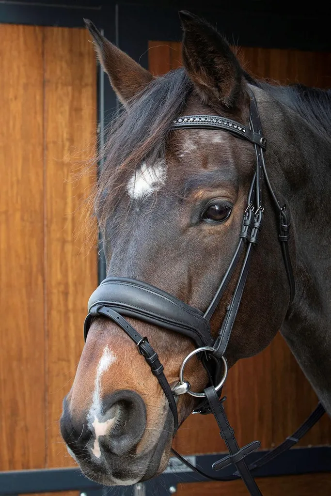 Bridon anatomique noir Cob Harry's Horse Soft Bombastic anti-pression