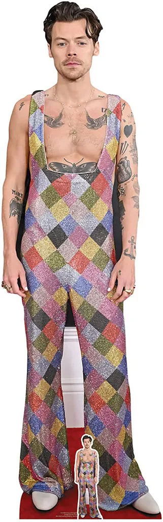 Decorazione Interni Harry Styles - Espositore Cartone 185x57cm VIP