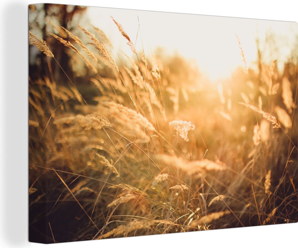 OneMillionCanvasses - Leinwandbilder - 150x100 cm, Sonne - Getreide - Feld, Wandbilder Kunstdruck Wanddekoration