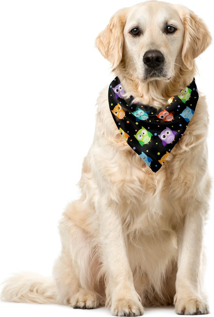 ABAKUHAUS Eulen Haustier Bandana, Lustige Confused Ernst, 55x55 cm, schwarz Multicolor