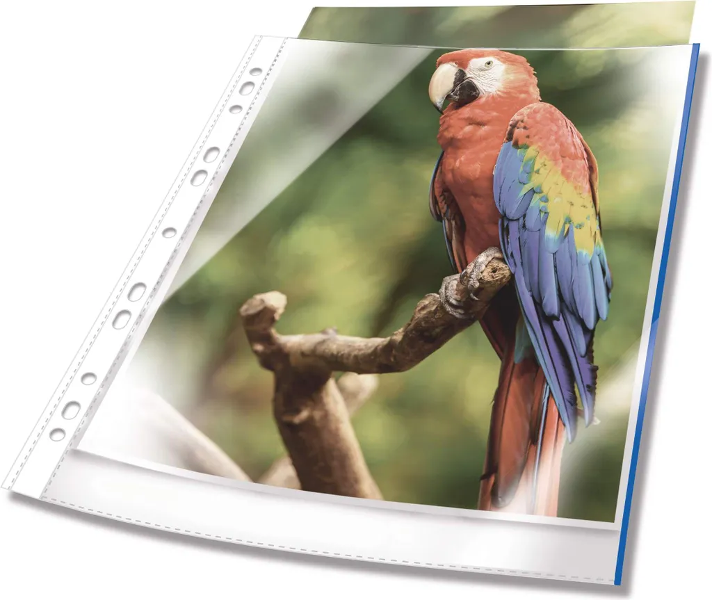 Confezione 10 Buste DURABLE 265406 Blu: Efficienza A4 Extra Lucida