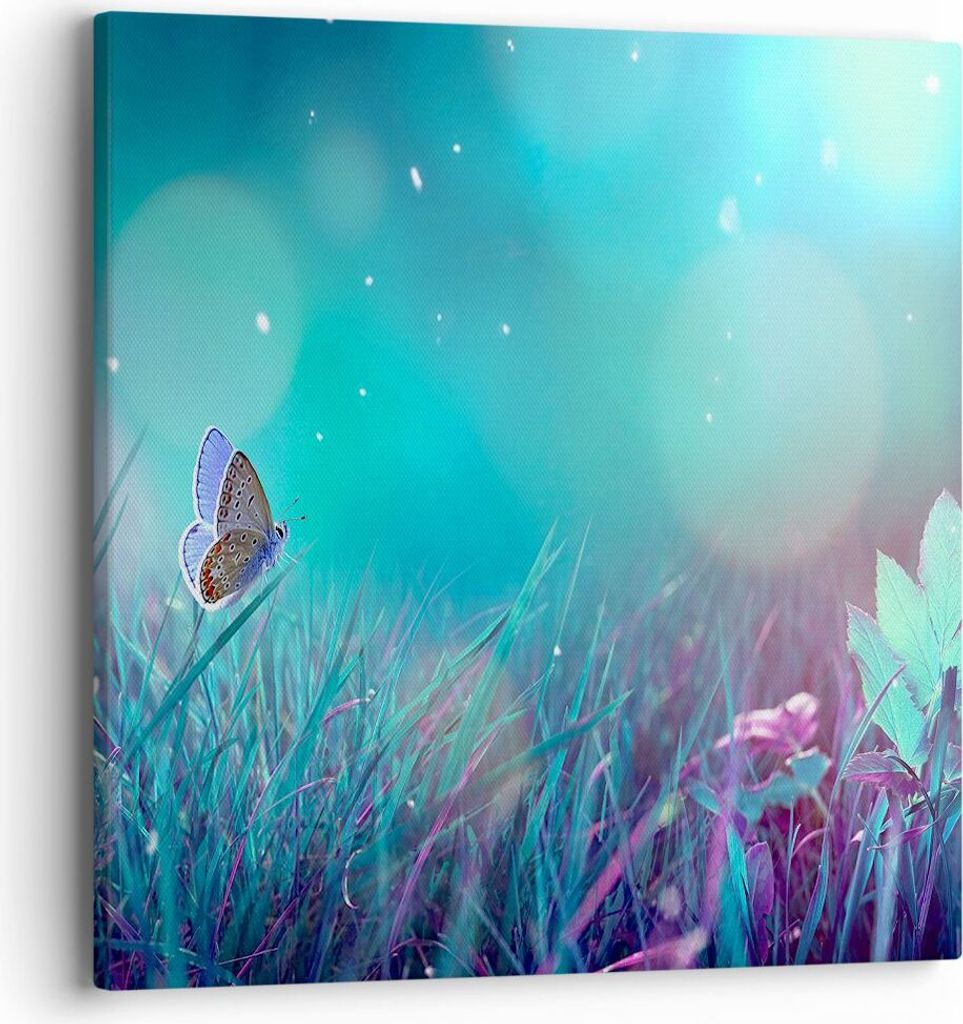 Bild auf Leinwand - Leinwandbild - Schmetterling Wiese Blume - 40x40cm - Wand Bild - Wanddeko - Leinwanddruck - Bilder - Kunstdruck - Wanddekoratio...