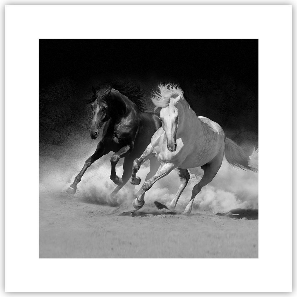 Poster - Poster ohne Rahmen - Andalusier Pferde Galopp - 30x30 cm - Wand Bild - Wanddeko - Wandbilder - Kunstposter - Wandposter - Bilder - Kunstdr...
