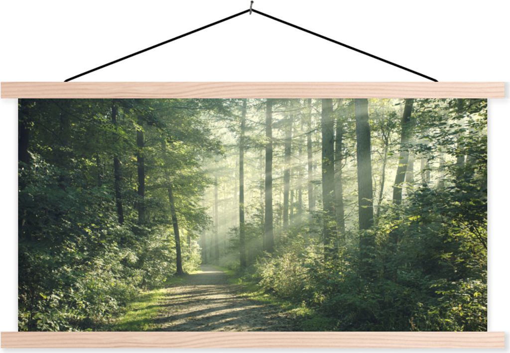 MuchoWow Textilposter Wald - Weg - Sonne - Bäume - Grün - Natur 60x30 cm mit holzfarbenen Rahmen - Dekoration