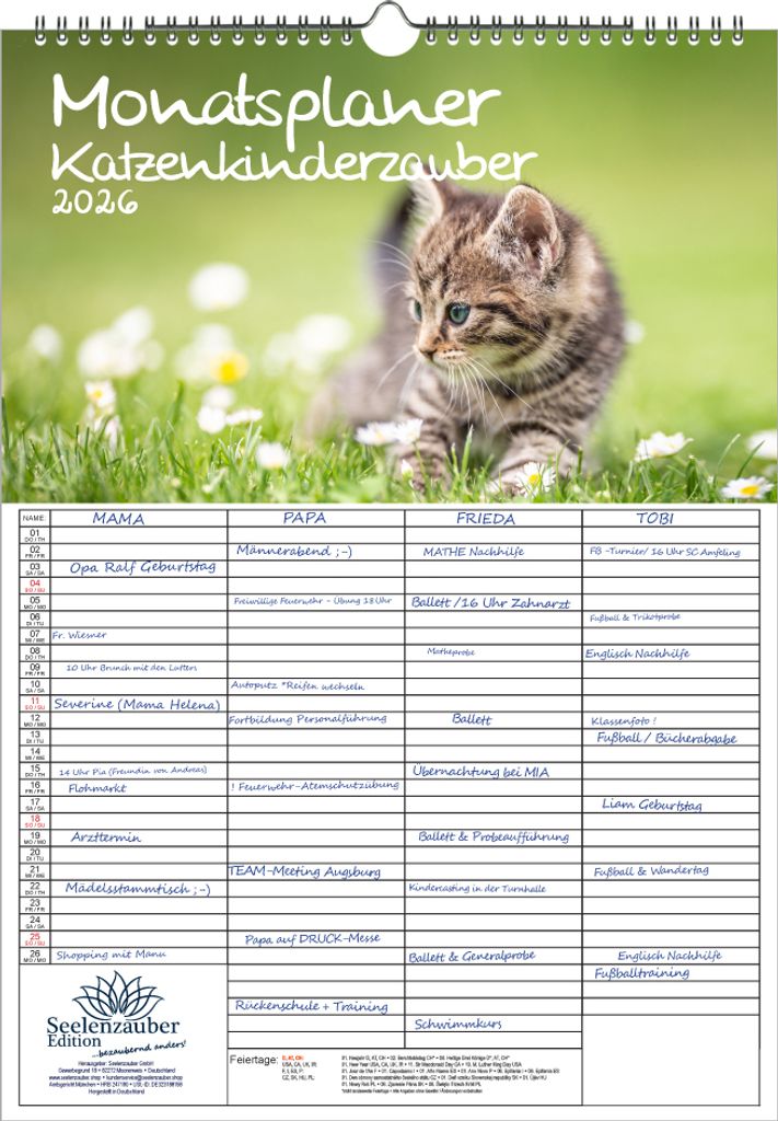 Katzenkinderzauber Planer Familienplaner 4 Spaltenplaner DIN A3 Kalender für 2026 Katzenkinder Katzenbabys - Seelenzauber