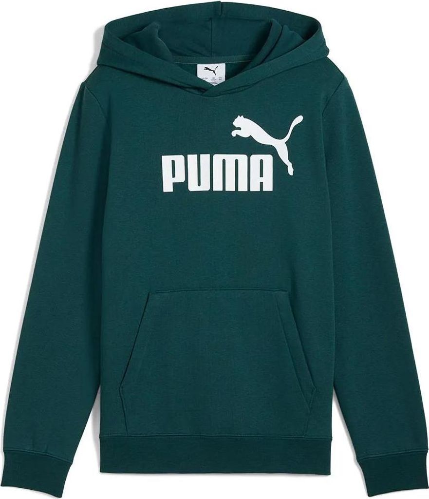 Puma ESS No. 1 Logo Hoodie FL B Green Terrain 128