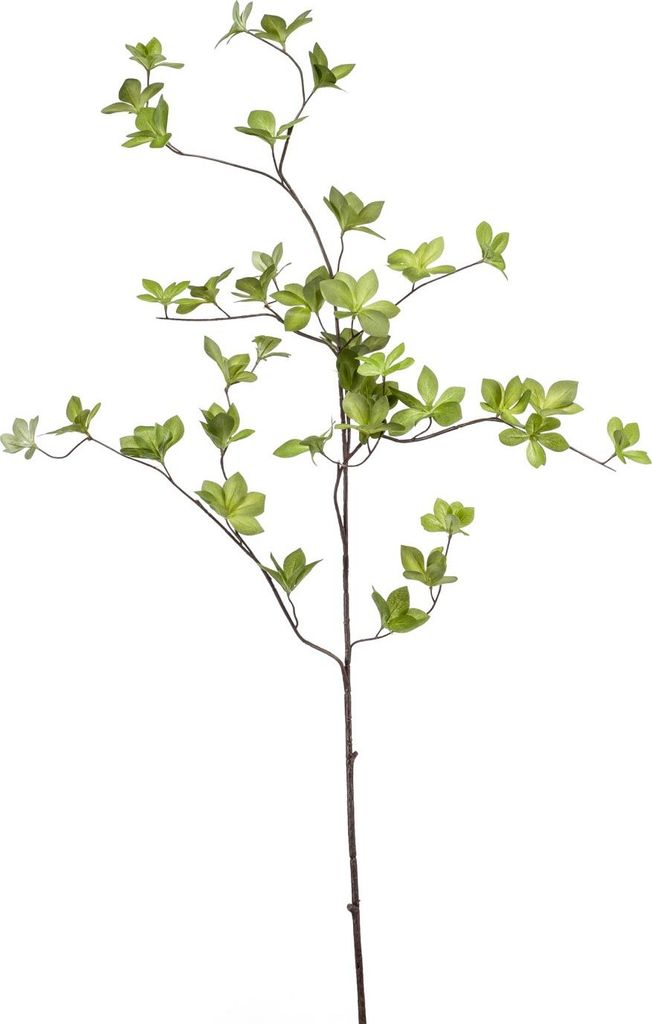 artplants.de Dekozweig Hartriegel SAMAY, grün, 115cm - Kunstzweig Hornstrauch/Cornus Deko AST