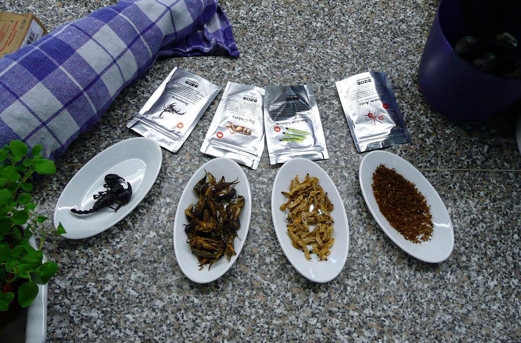 mydays Insekten Kochkurs Schwetzingen; Erlebnis verschenken oder selbst erleben; Gutschein für 1 Person(en)