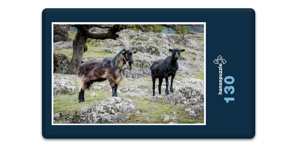 hansepuzzle 17352 - Ziegen Puzzle, 130 Teile, Tierwelt, 28,7 x 20,0cm mit hochwertiger Aufbewahrung, Kartonbox und wiederverschließbarem Beutel