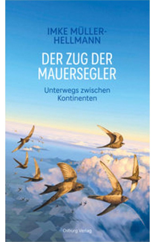 Der Zug der Mauersegler Immagine del prodotto 