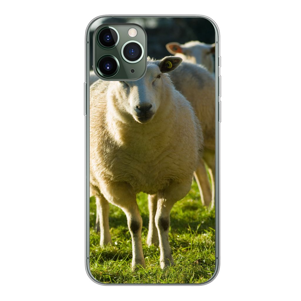 MuchoWow Handyhülle Schutzhülle Hülle für iPhone 11 Pro Schafe - Tiere - Wolle Silikon Softcase Handy Hülle - Handy