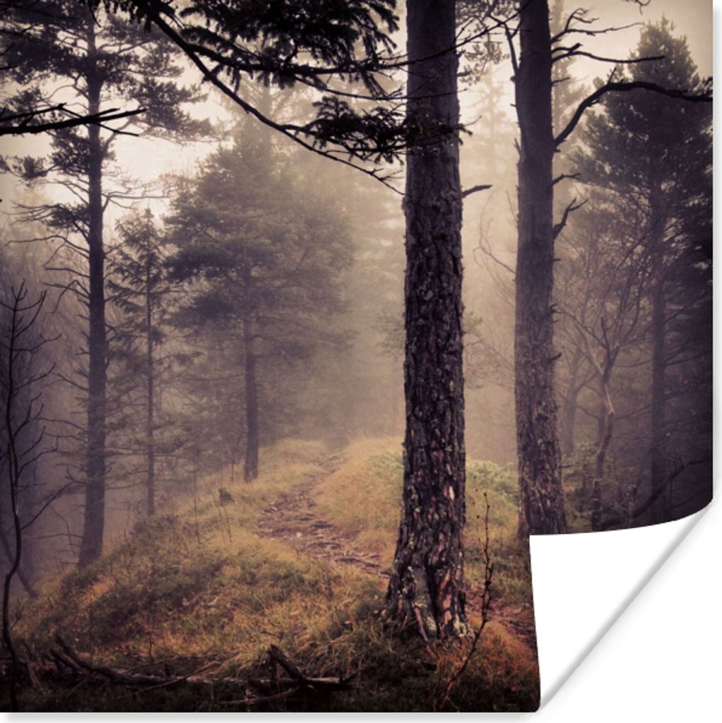 MuchoWow Poster Nebel - Herbstdekoration - Natur - Wald 75x75 cm - Wand Dekoration