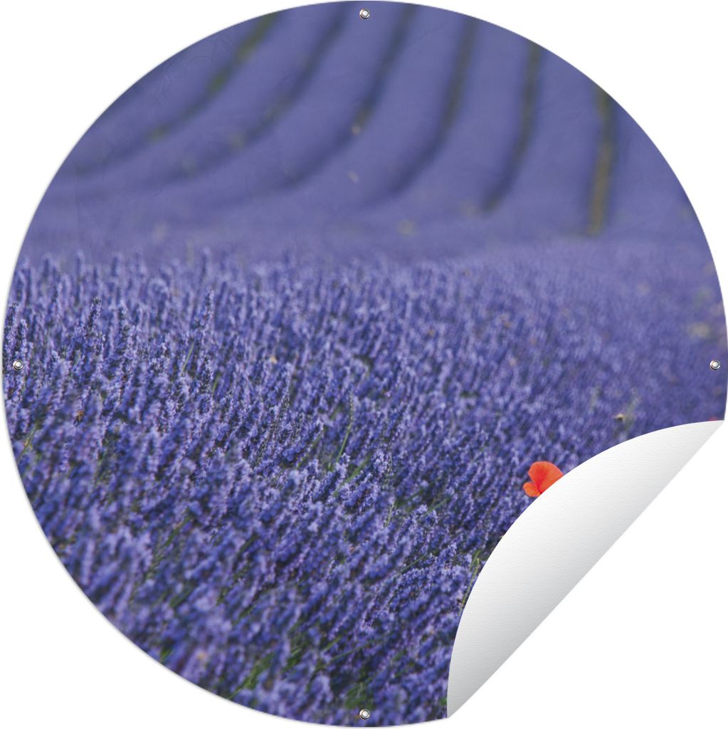 MuchoWow Gartenposter Outdoor-Poster Rund Lavendel - Mohn - Blumenwiese Ø 90 cm Gartendeko Rundes Poster draußen