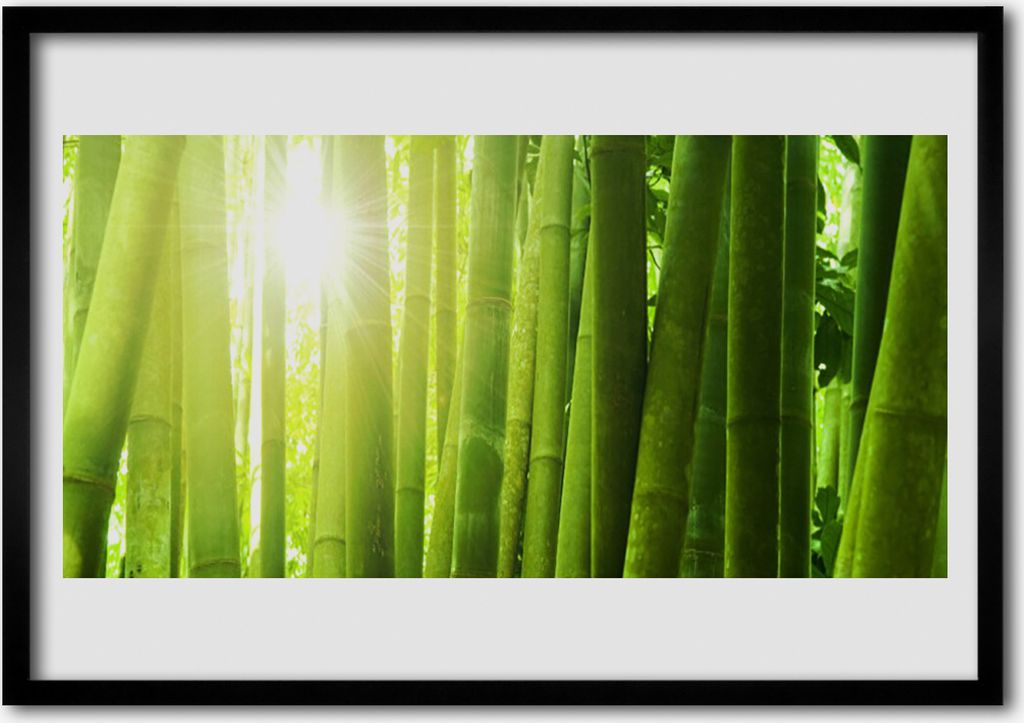 Bild 100x70 MDF-Rahmen Wandkunst Bambuspflanze