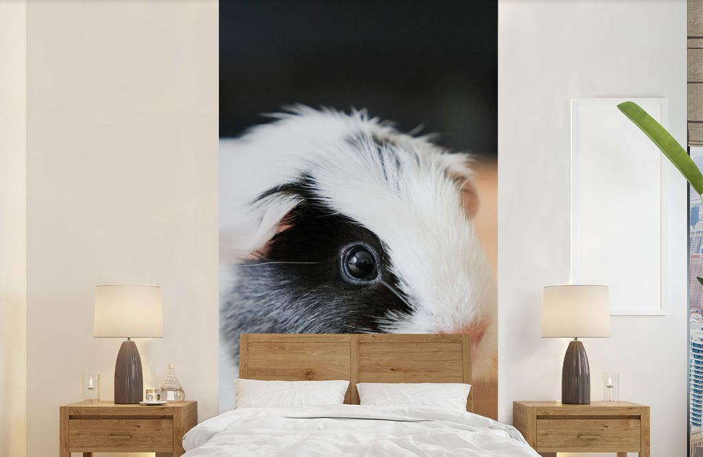 MuchoWow Fototapete für Wohnzimmer oder Schlafzimmer Wandtapete Vinyl Motivtapete Nahaufnahme eines gefleckten Meerschweinchenbabys - 120x240 cm...