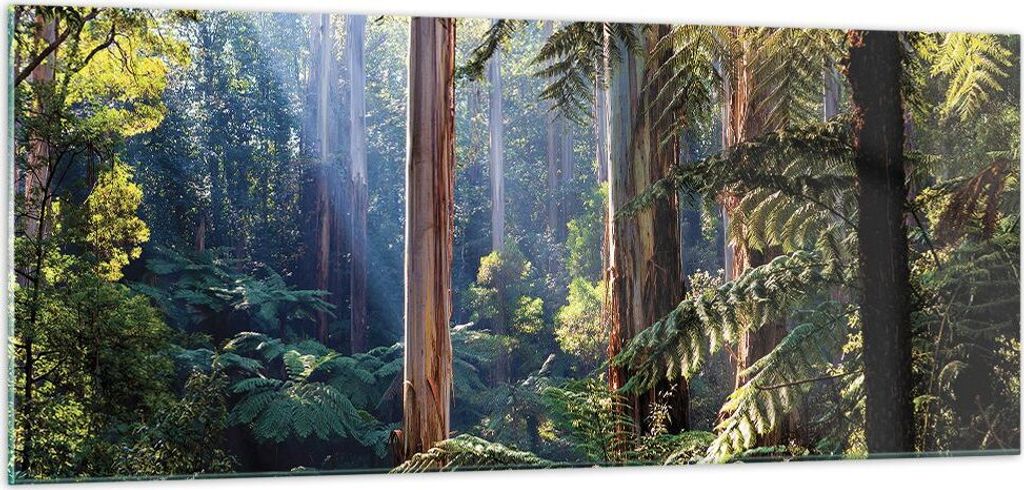 Bilder auf glas - Einteilig - Morgendämmerung Bäume Wald - 100x40cm - Glasbilder - Wandbilder - Bilder - Wanddekoration aus Glas - Glas Bilder - ...