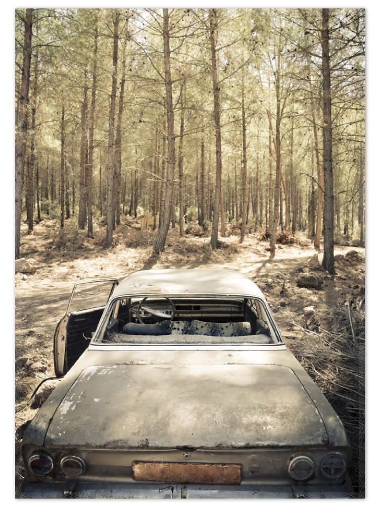 Wallario Premium Teppich, Größe 50 x 70 cm, Verrosteter Oldtimer im Wald