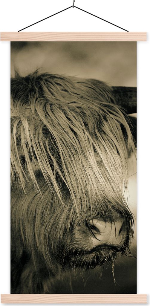 MuchoWow Textilposter Schottisches Hochlandrind - Tiere - Haare 40x80 cm mit holzfarbenen Rahmen - Wohnzimmer