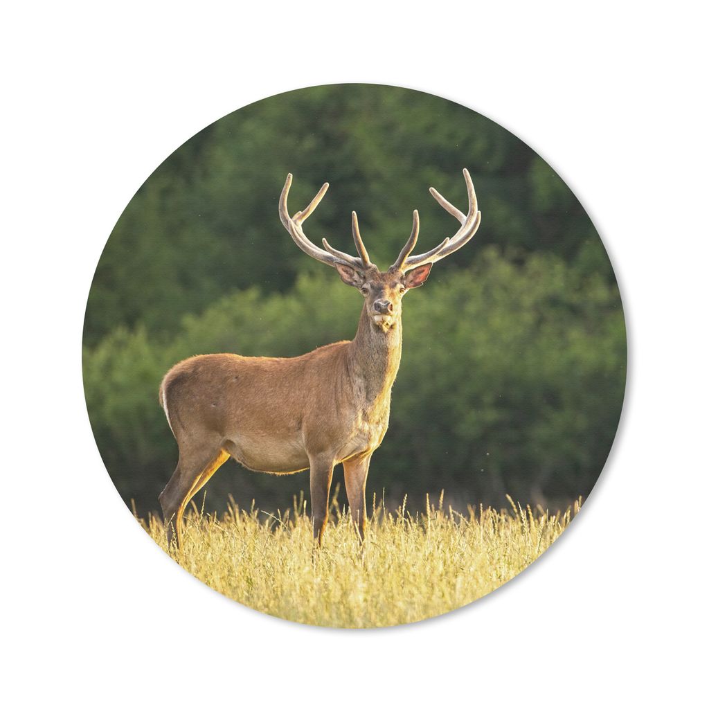 MuchoWow Mauspad Mousepad Hirsch - Geweih - Gras - Natur - Tiere - Grün 50x50 cm - Mousepads - Maus Mat - Pad - Mausunterlage - Vinyl