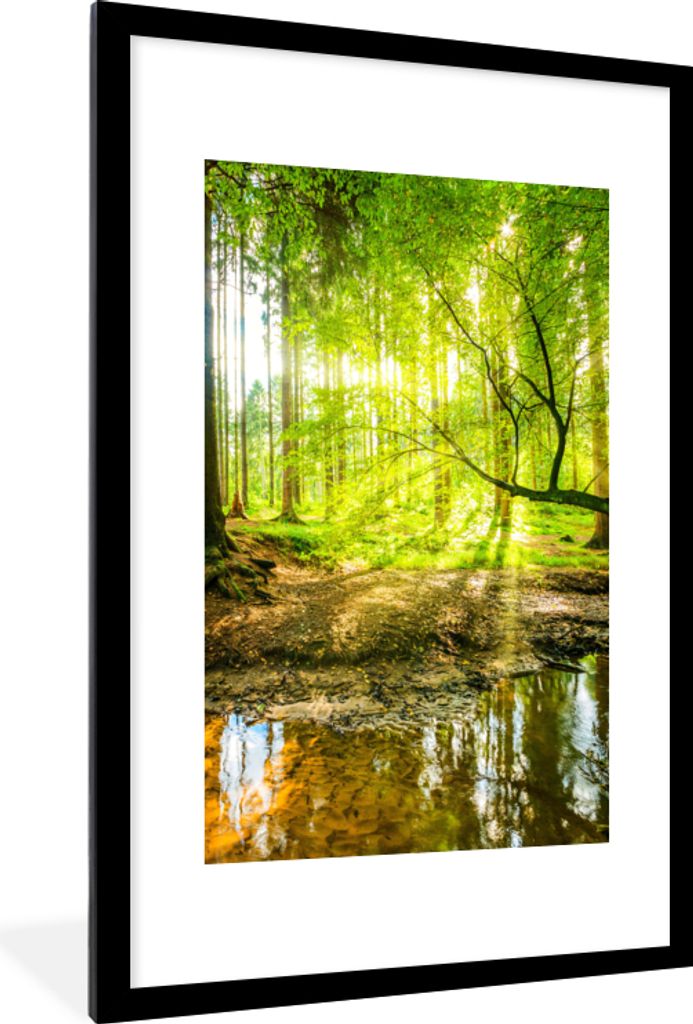 MuchoWow Gerahmtes Poster Wald - Landschaft - Wasser - Bäume - Sonne - Grün - Natur 60x90 cm - Poster mit Schwarzem Bilderrahmen Wandposter Rah...