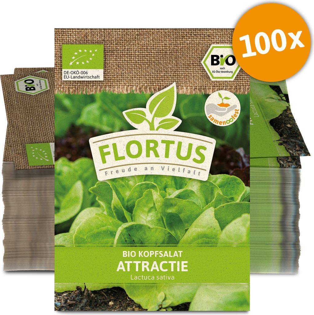 Kopfsalat Attractie (100 Stück) | Salatsamen von FLORTUS