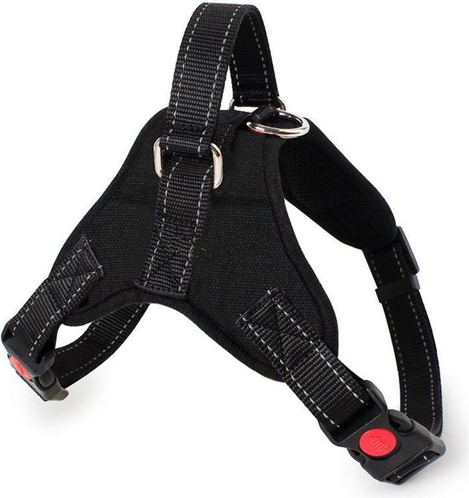 Hundegeschirr Größe L | Atmungsaktives Geschirr Mit Einem Clip | Bequem & Einfach Anzulegen